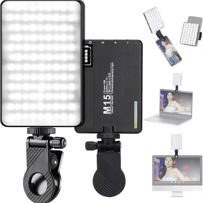 Mini LED